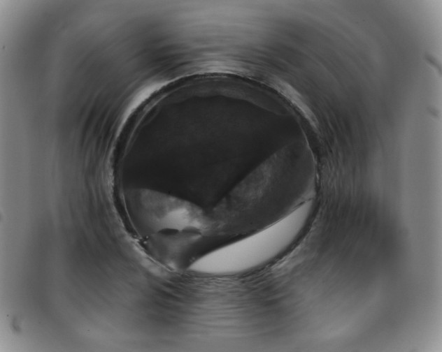 X0000097821024200803141136