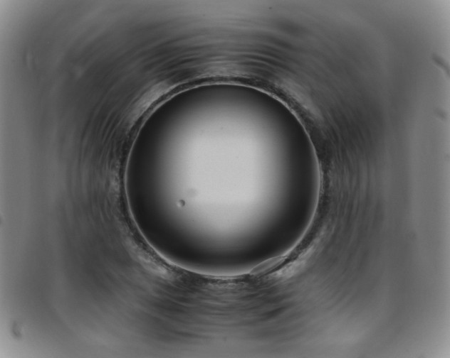 X0000097821025200803141136