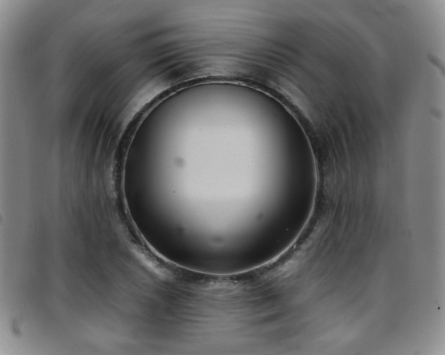 X0000097821026200803141136