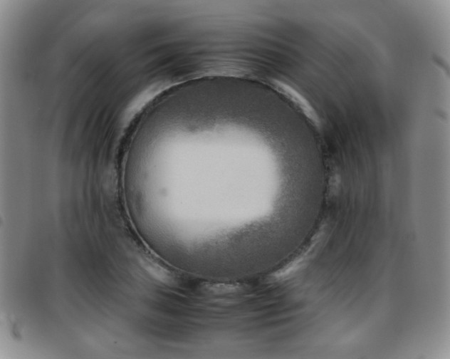 X0000097821027200803141136