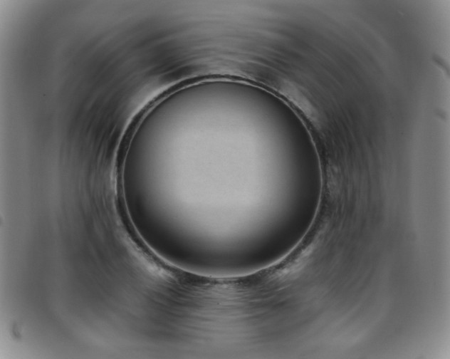 X0000097821028200803141136