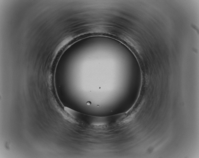 X0000097821029200803141136