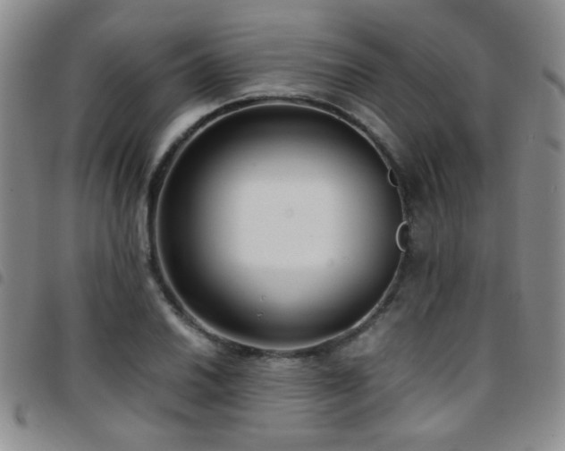 X0000097821030200803141136