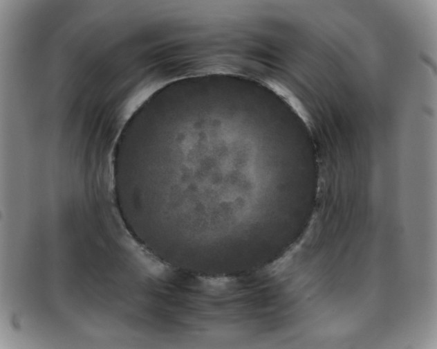 X0000097821031200803141136