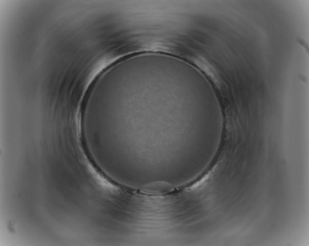 X0000097821032200803141136