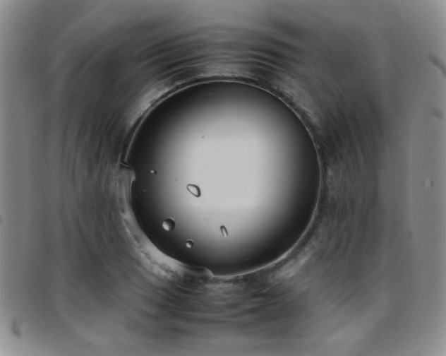 X0000097821033200803141136