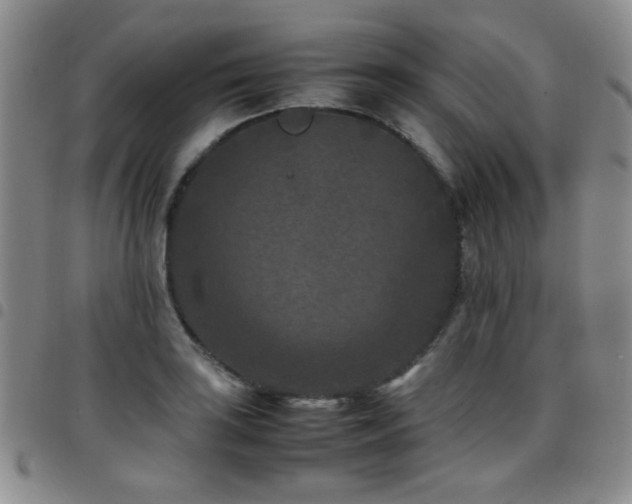 X0000097821035200803141136