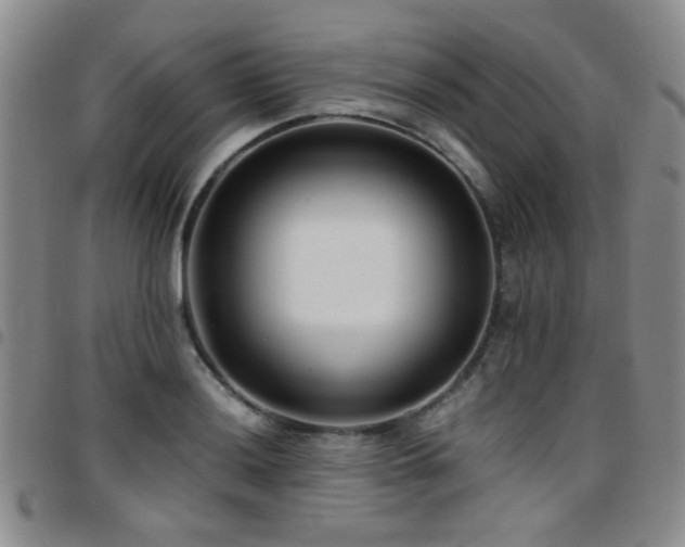 X0000097821036200803141136