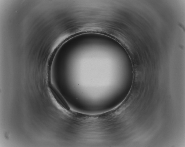 X0000097821038200803141136