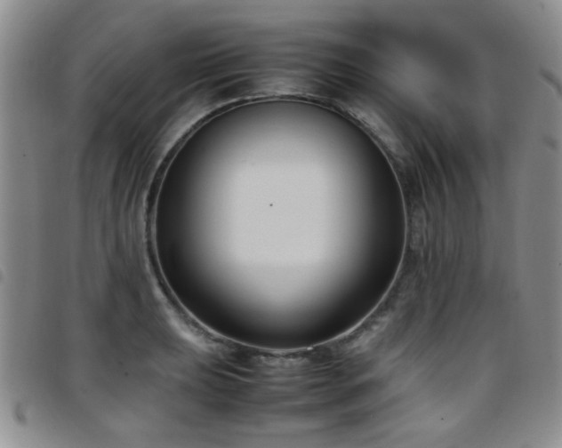 X0000097821039200803141136