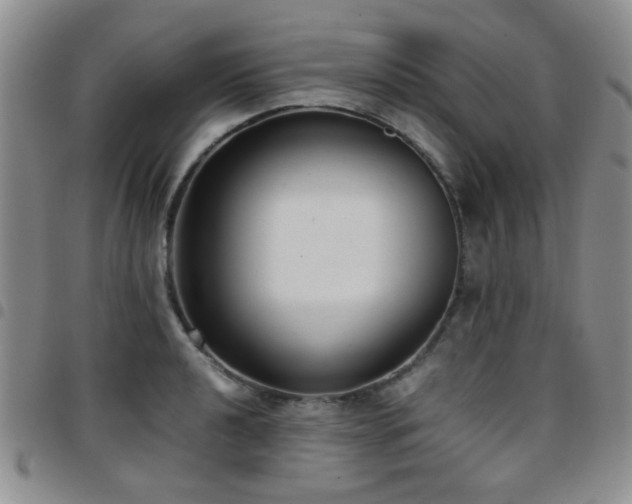 X0000097821040200803141136