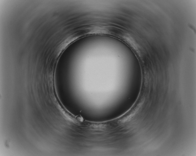 X0000097821041200803141136