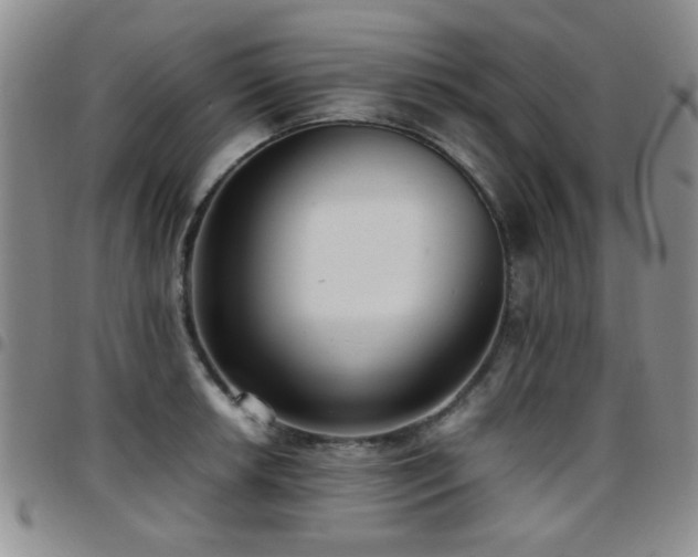 X0000097821042200803141136