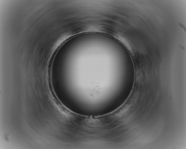 X0000097821043200803141136