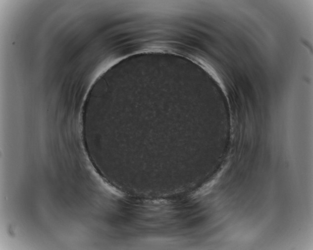 X0000097821045200803141136