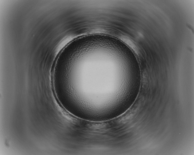 X0000097821047200803141136