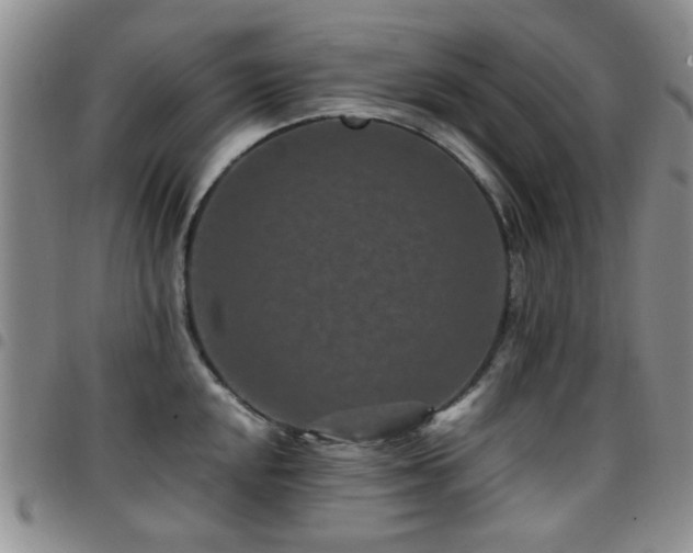 X0000097821048200803141136