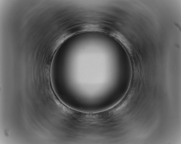 X0000097821049200803141136