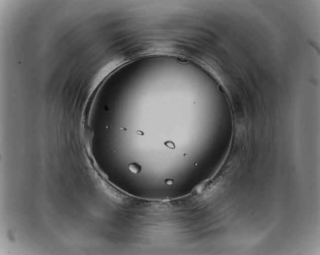 X0000097821050200803141136