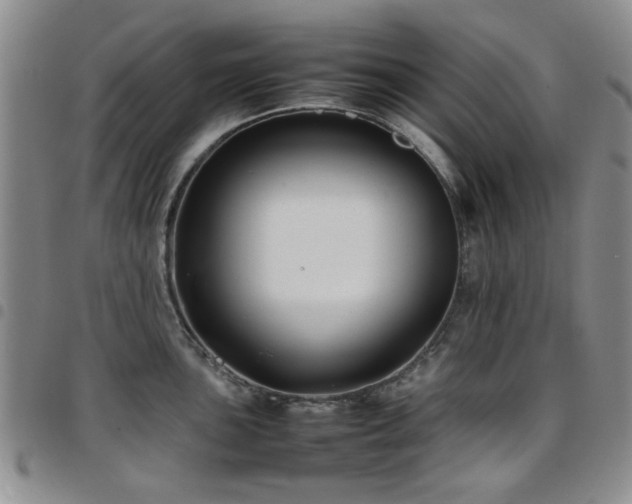 X0000097821051200803141136