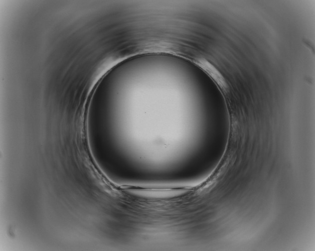 X0000097821052200803141136