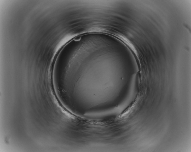 X0000097821053200803141136