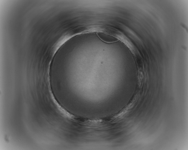 X0000097821055200803141136