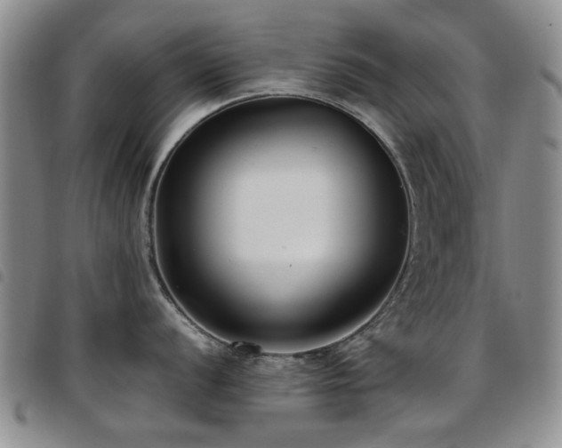 X0000097821056200803141136