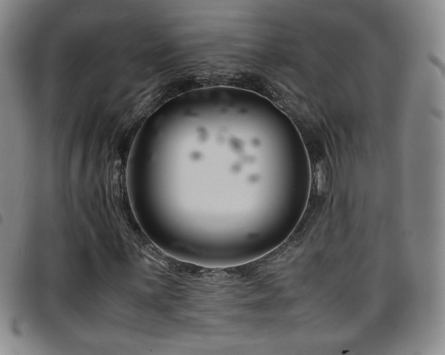 X0000097821059200803141135