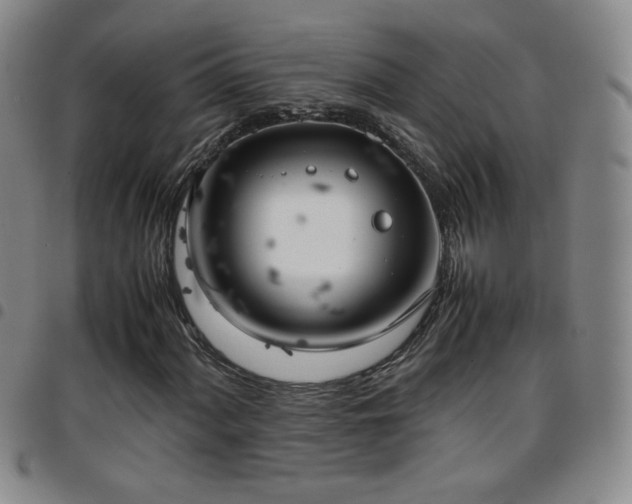 X0000097821060200803141135