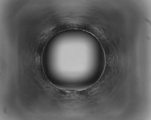 X0000097821061200803141135