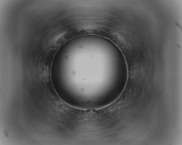 X0000097821062200803141135