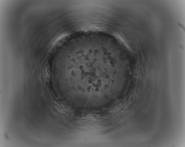 X0000097821063200803141135