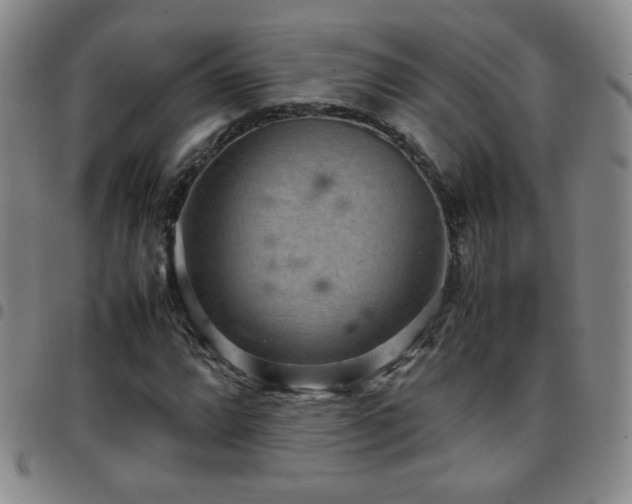 X0000097821064200803141135