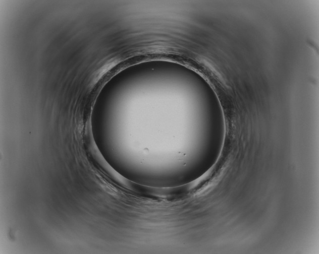 X0000097821065200803141135