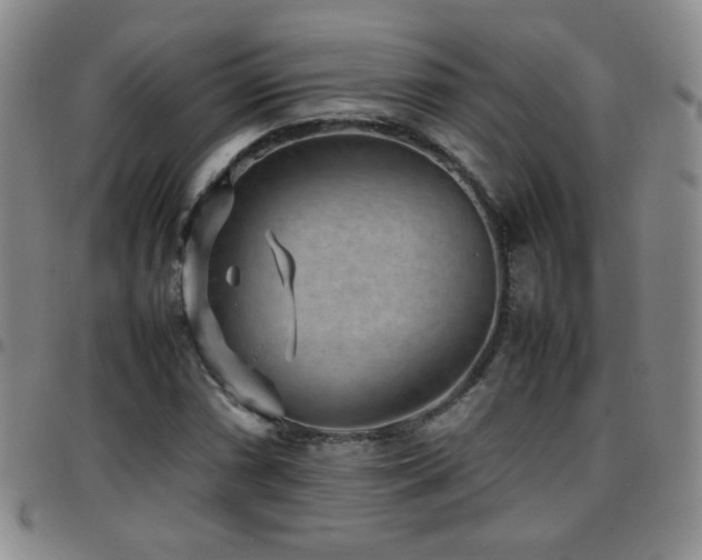 X0000097821066200803141135