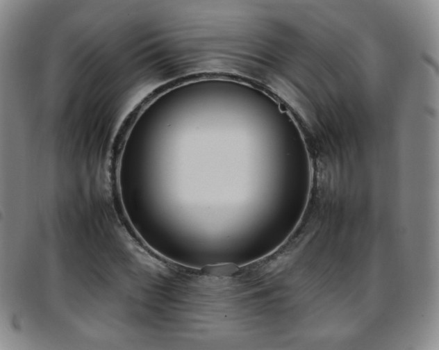 X0000097821068200803141135