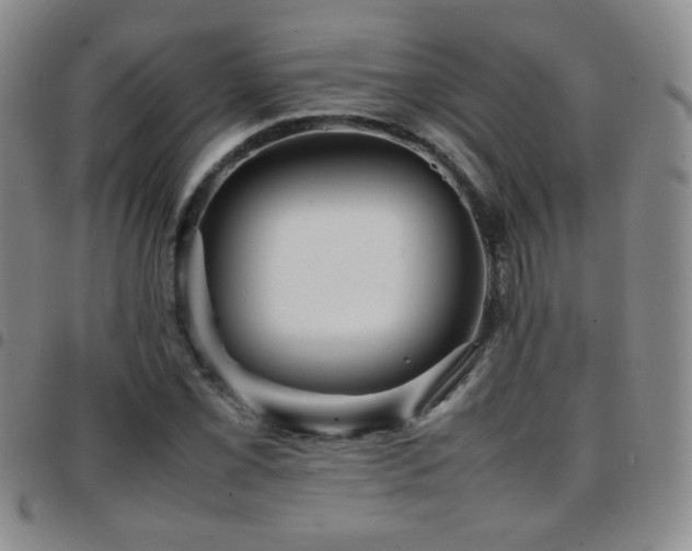 X0000097821069200803141135