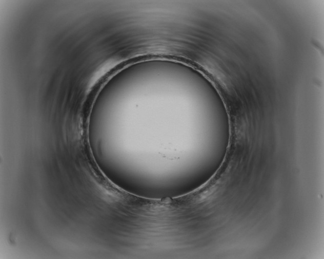 X0000097821070200803141135