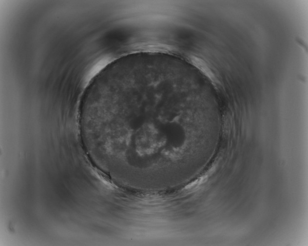 X0000097821071200803141135