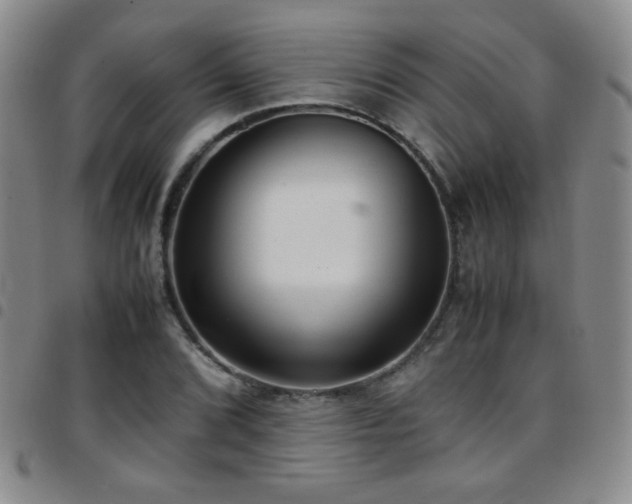 X0000097821072200803141135