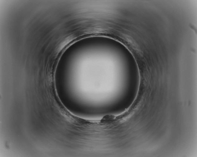 X0000097821073200803141135