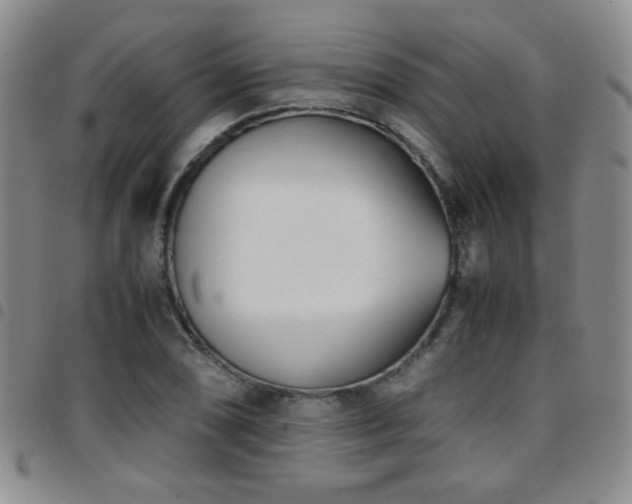 X0000097821074200803141135