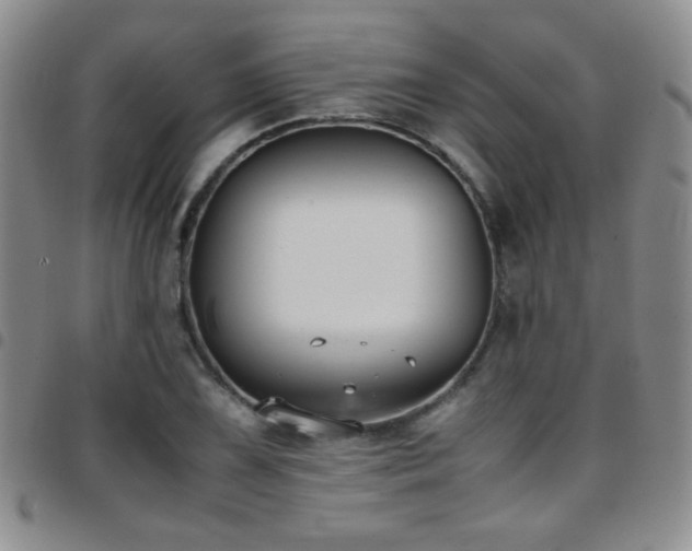 X0000097821075200803141135