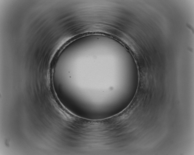 X0000097821076200803141135