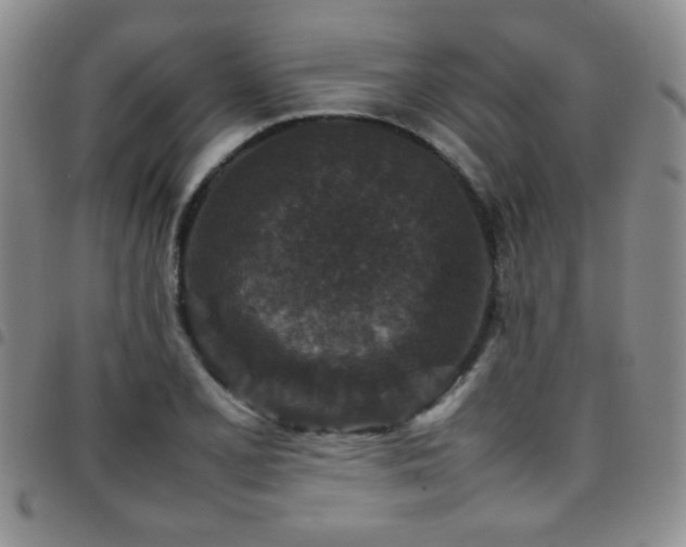 X0000097821077200803141135