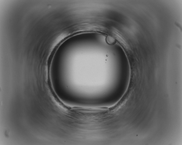 X0000097821079200803141135