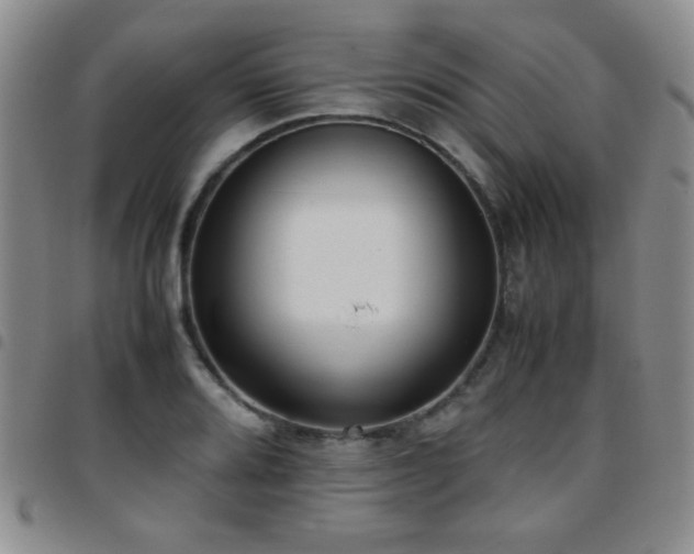 X0000097821080200803141135