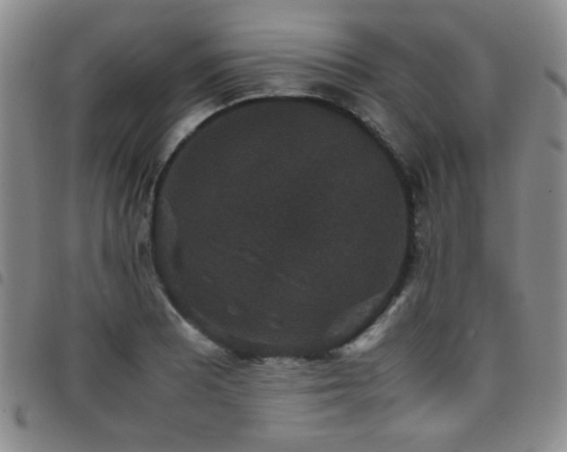 X0000097821081200803141135