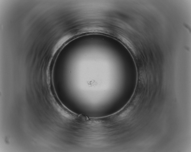 X0000097821082200803141135